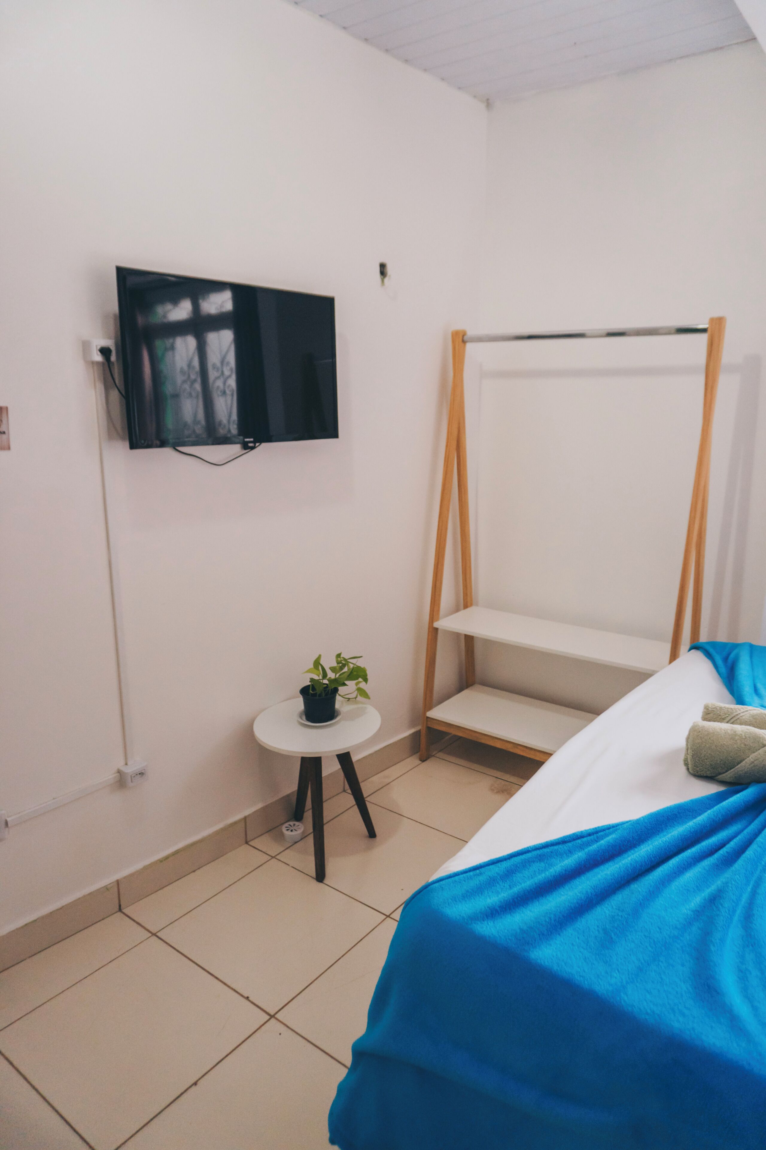 A room with a bed, a television mounted on the wall, a small table with a plant, and a shelf unit.