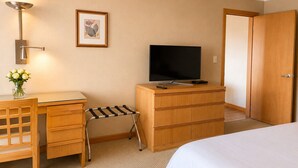 Habitación de hotel con una cama, un escritorio con una silla, un televisor, un cuadro en la pared y una puerta.