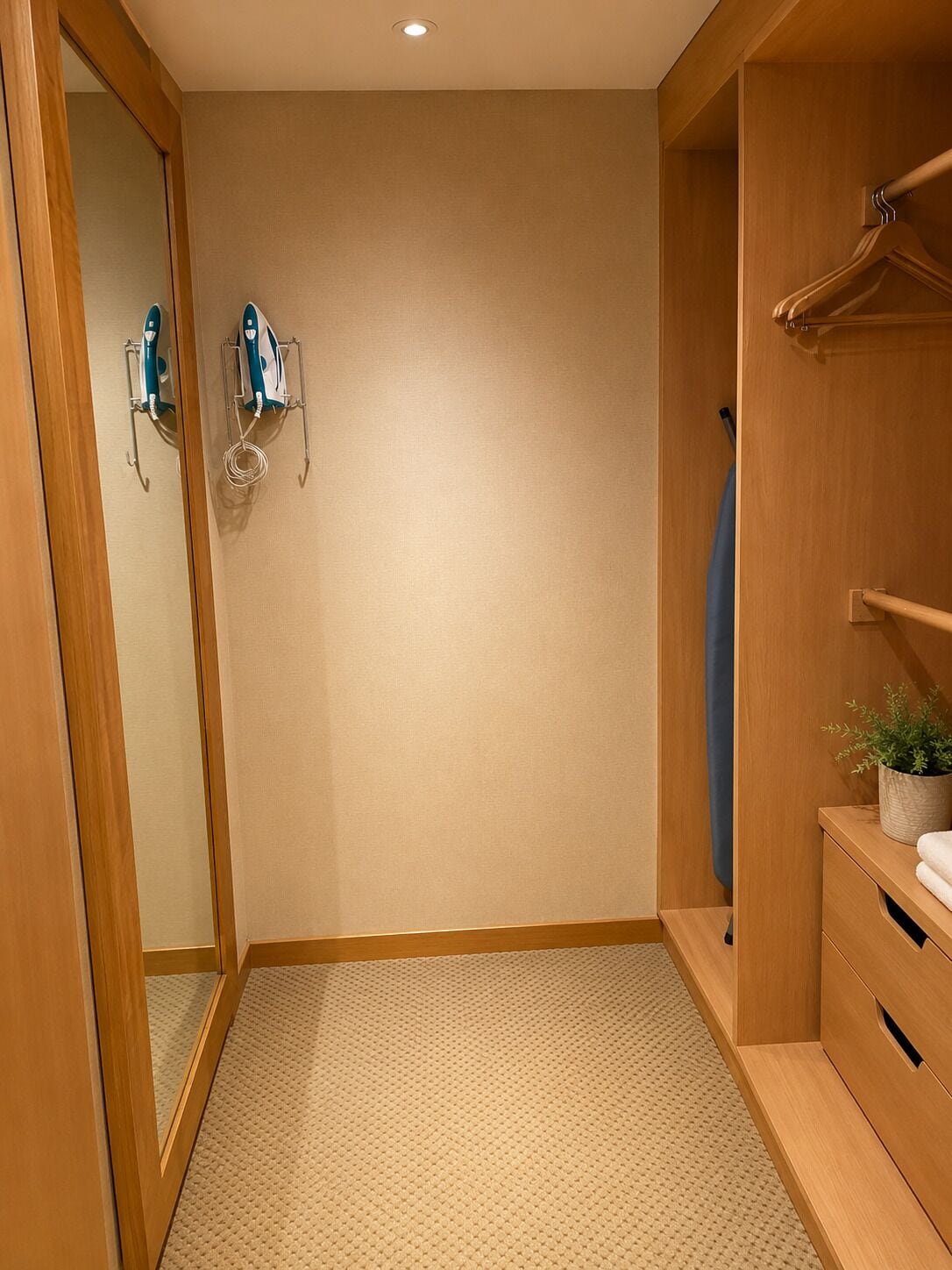 Superior Suite, Pool Access, City View | Wardrobe