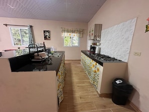 A kitchen with a central island, a sink, and a stove. There is a window with curtains and a plant on the wall. - Urban Loft Nueva California (Nueva California)
