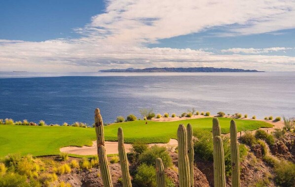 A coastal golf course with cacti and a clear view of the ocean.