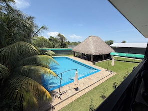 A swimming pool with a thatched-roof structure, surrounded by palm trees and a grassy area.