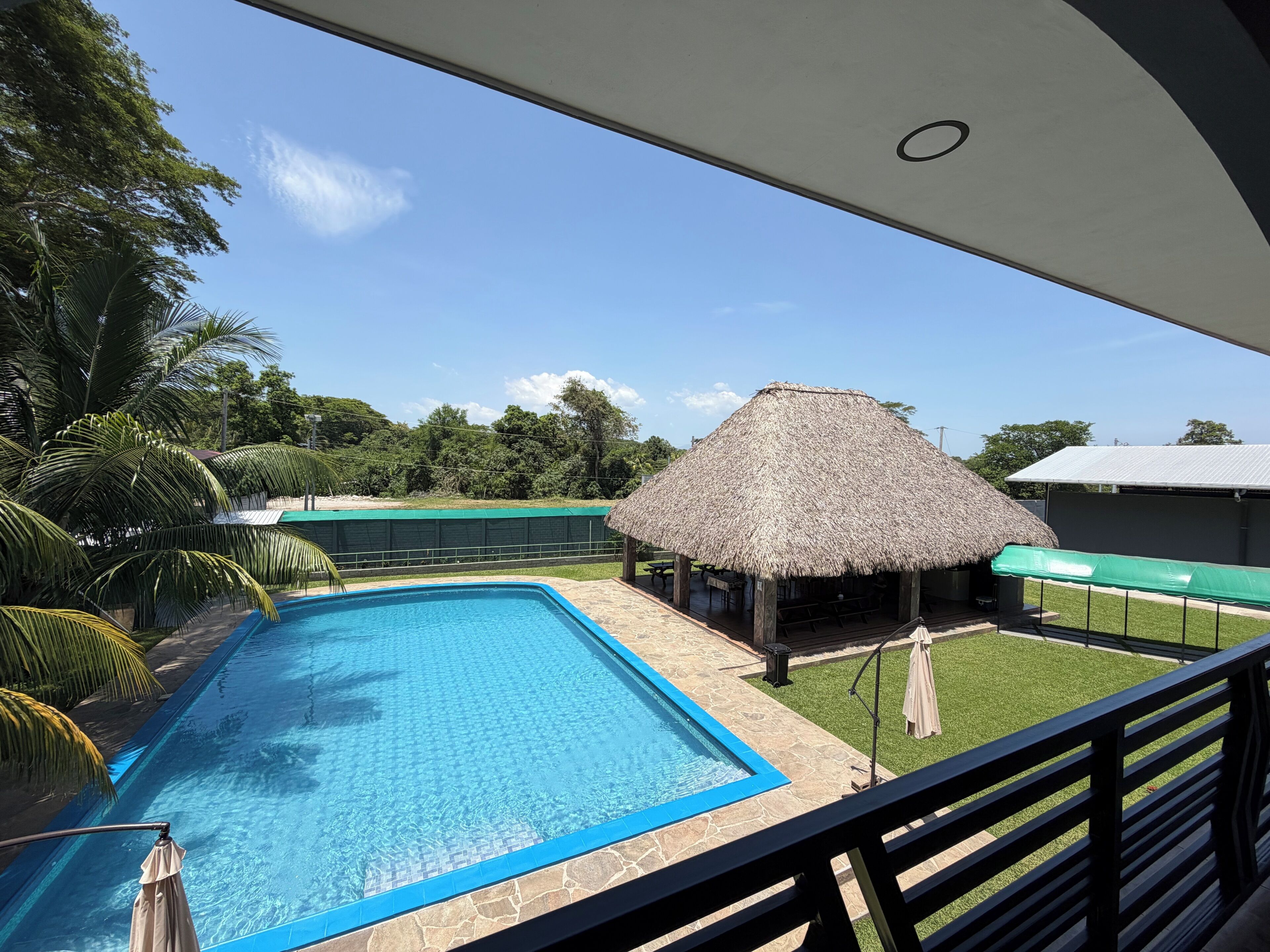 A swimming pool with a thatched-roof structure and palm trees in the background.