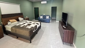 Un dormitorio con cama, televisor, sofá y aire acondicionado.