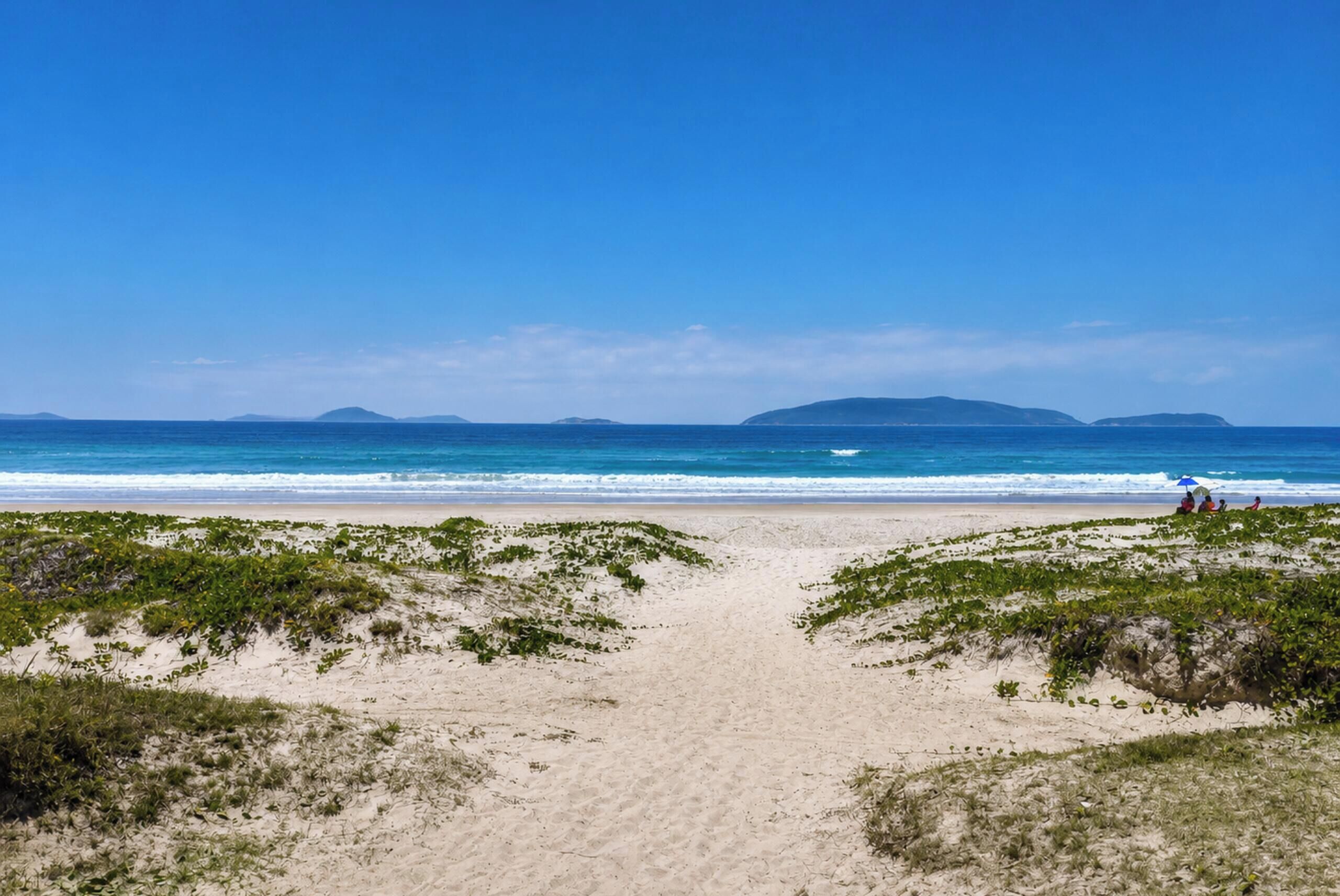 A beach with a clear path leading to the water, surrounded by vegetation.