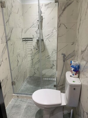 A bathroom with a glass-enclosed shower, a white toilet, and a roll of toilet paper on the wall. - A charming and cozy studio (Rabat)