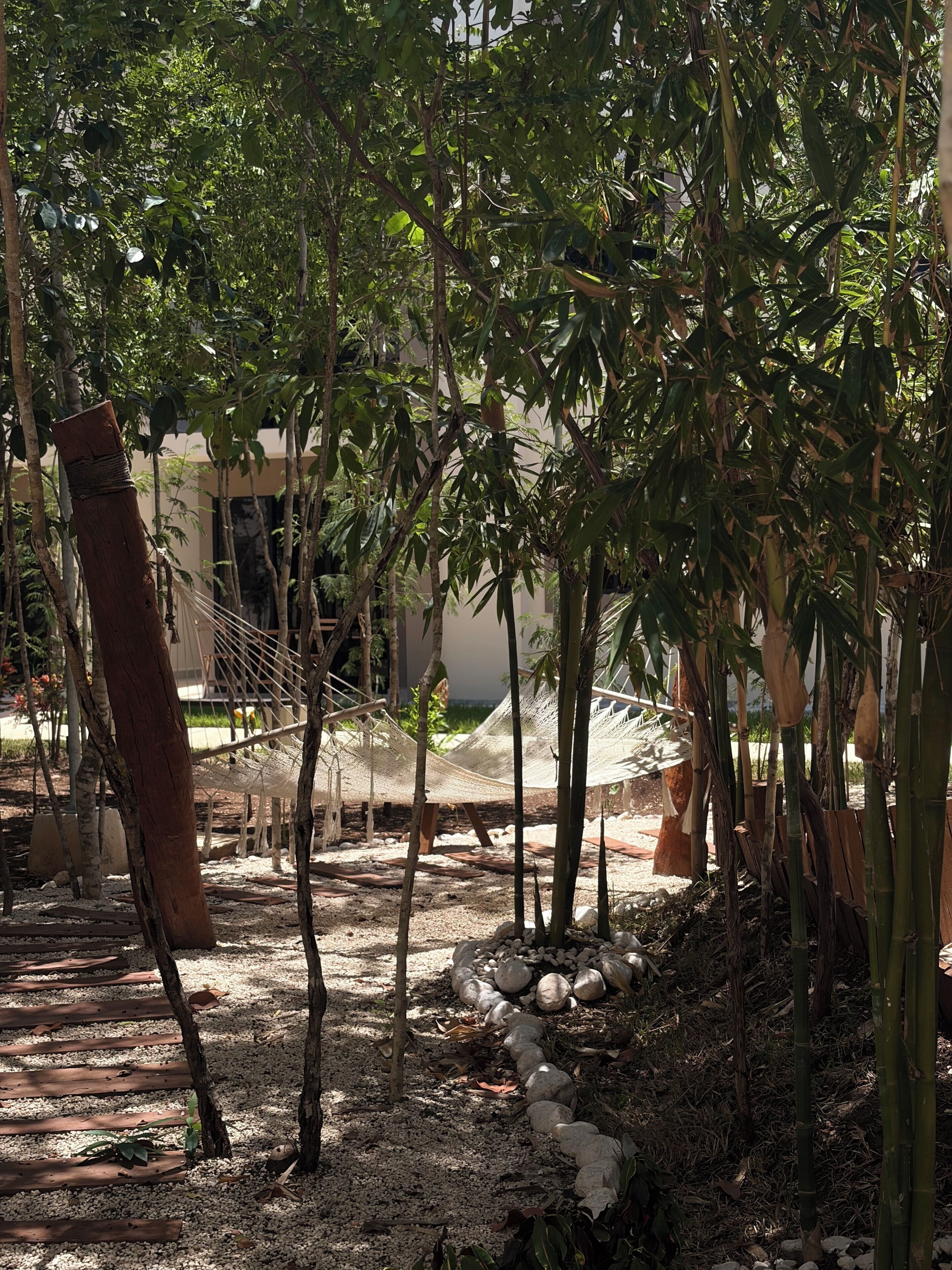 A hammock suspended between trees in a garden area with a gravel path and a building in the background.