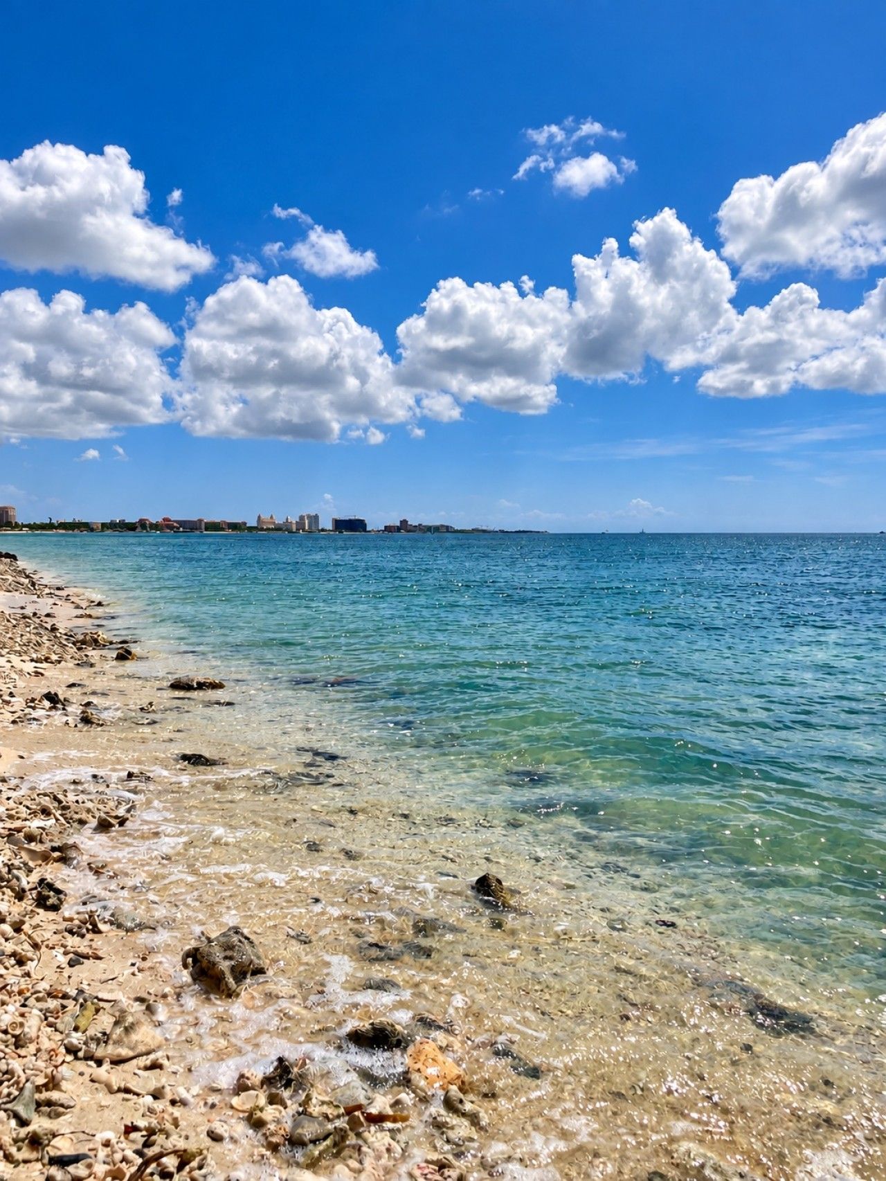 Una playa con agua cristalina, piedras y un horizonte urbano lejano.