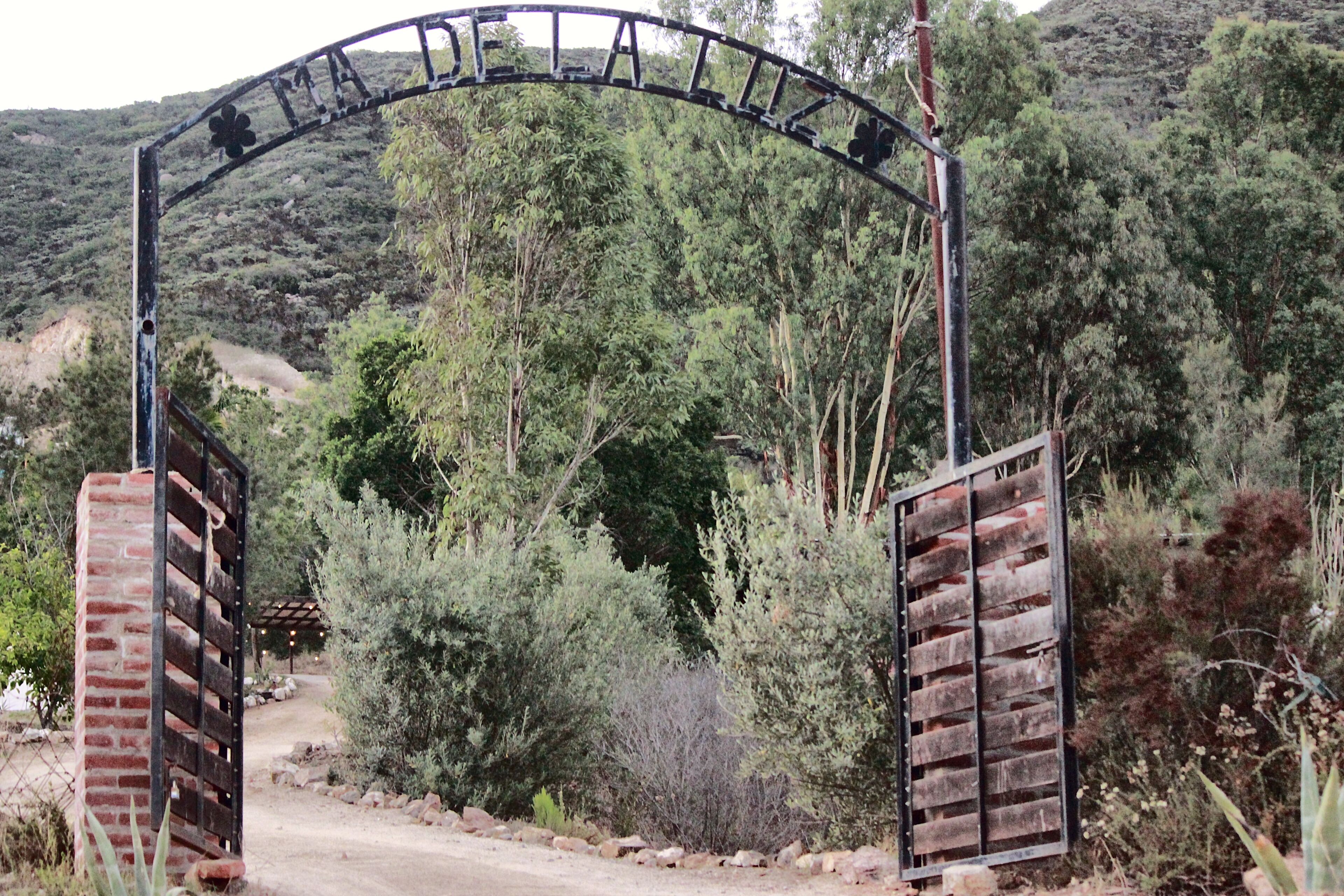 Um arco de metal com decoração floral, dando acesso a uma trilha de terra cercada por vegetação.