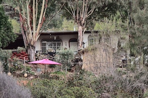 Une maison entourée d’arbres et de végétation.