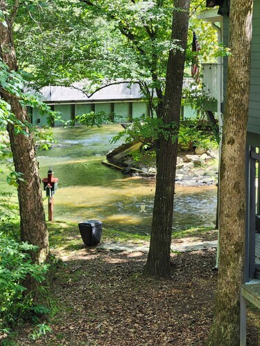 KLYDES STELZENHAUS - Your Family River Tubing Camp in charming Helen. Sleeps 8!