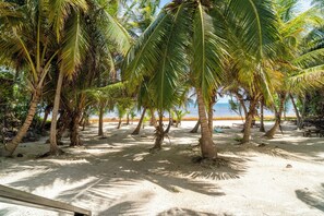 Una playa con palmeras y un camino de arena que lleva al agua.