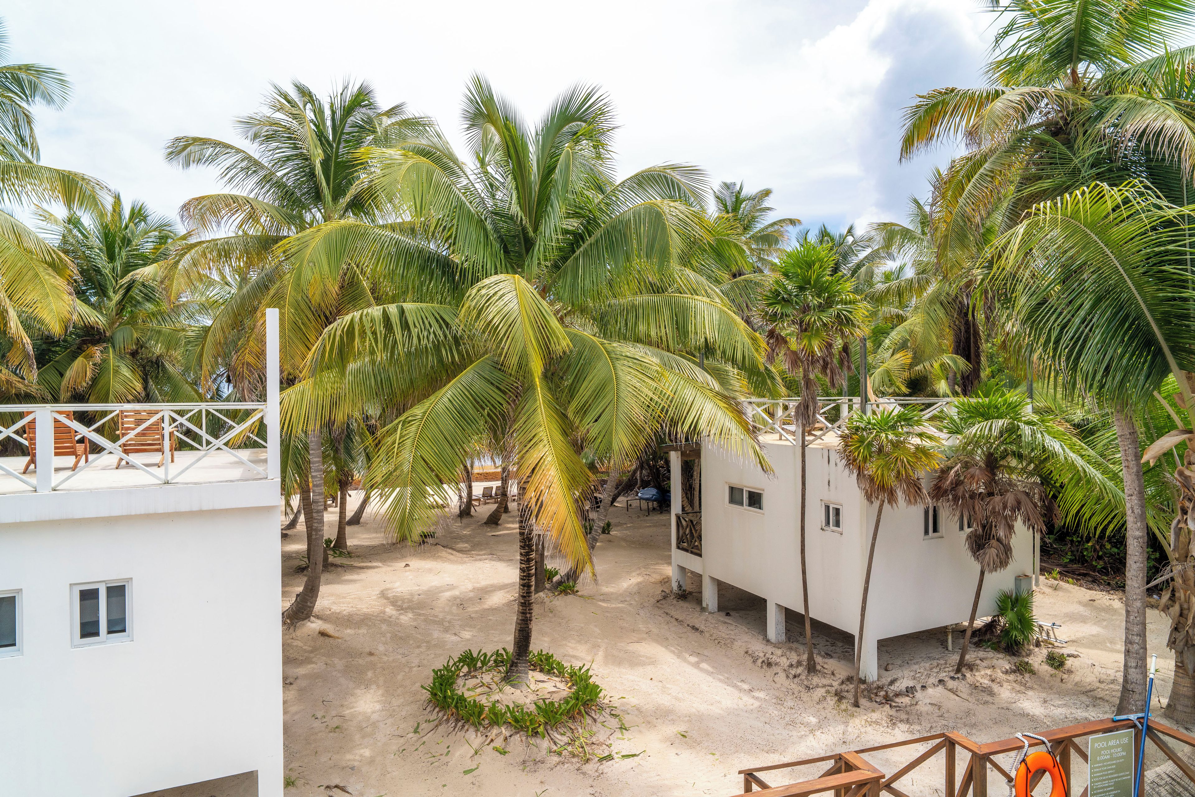Un resort con palmeras, una zona de piscina y un edificio blanco con ventanas.