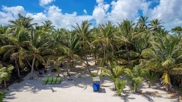 A beach with palm trees, green lounge chairs, and a blue structure.