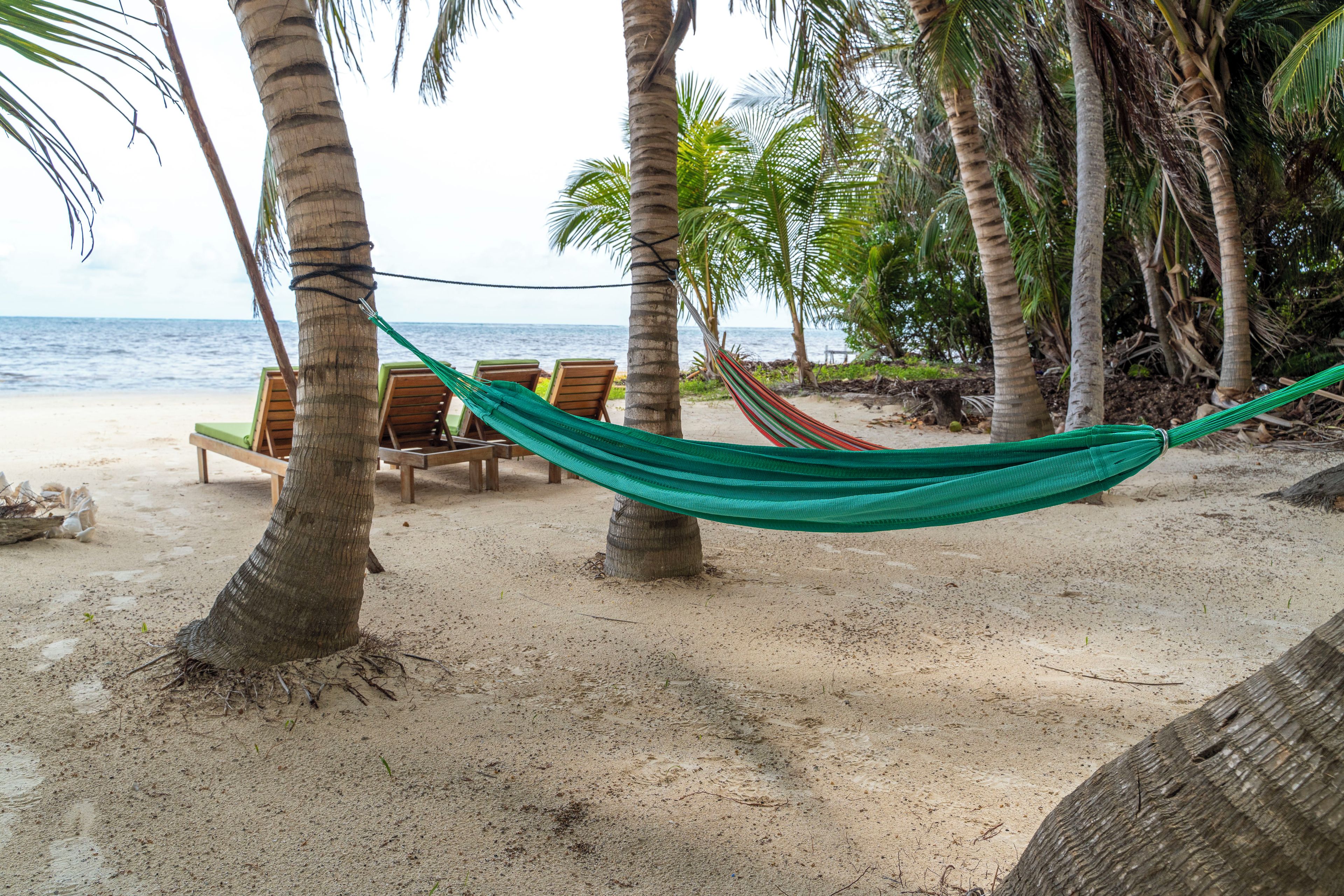 A hammock tied between palm trees on a sandy beach with wooden chairs and a view of the ocean.