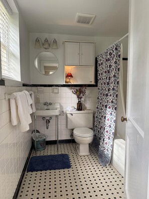 A bathroom with a toilet, sink, mirror, and a shower curtain. - Private apartment in quiet Athens neighborhood. Walk to UGA sports and campus. (Athens)
