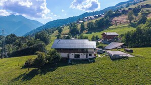 A rural house with a sloped roof, surrounded by lush green fields and mountains in the background. - Le Flocon - Petfriendly - Proche pistes (Hauteluce)
