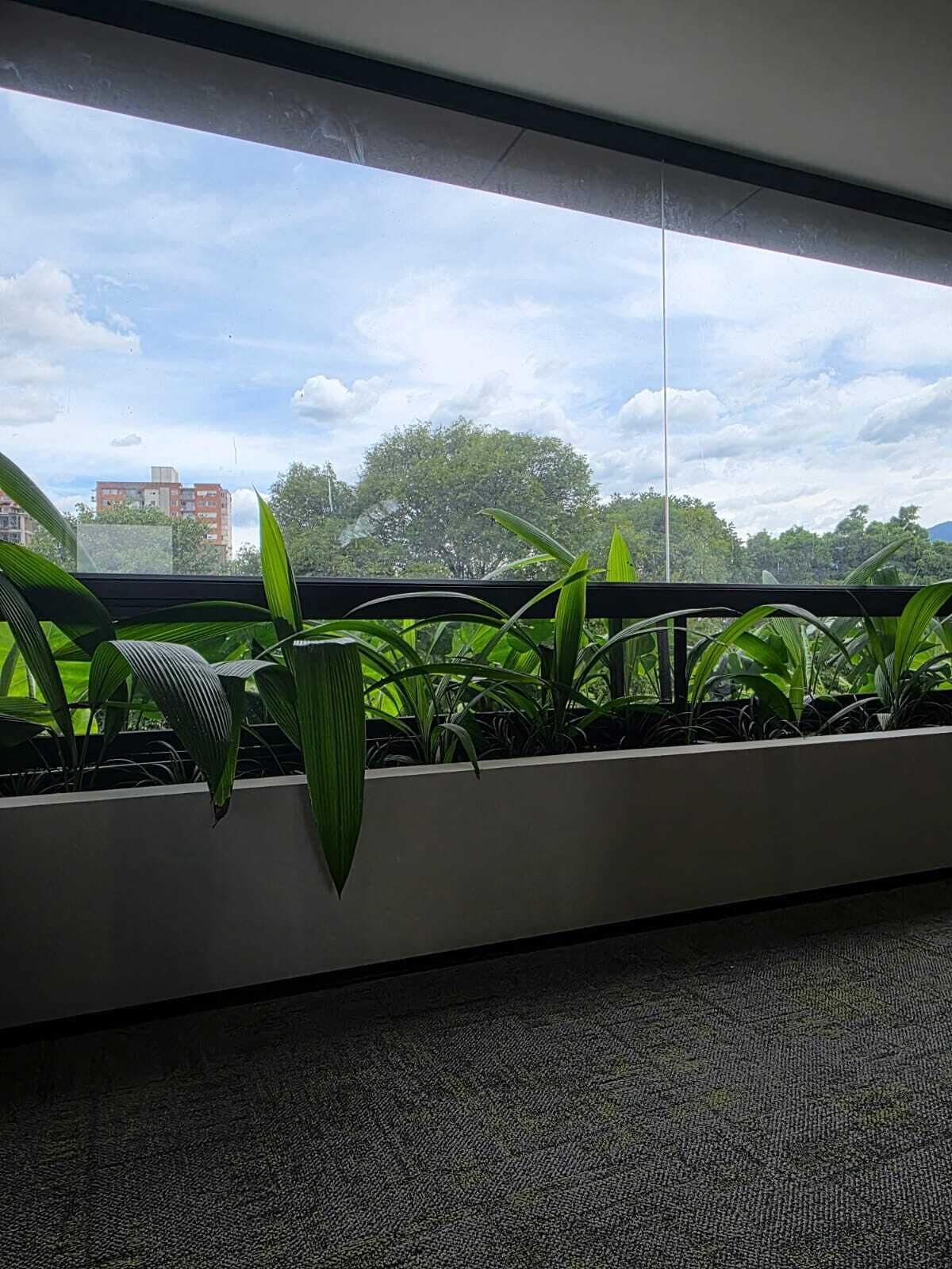 A room with a window overlooking a cityscape, a black railing, and a carpeted floor.
