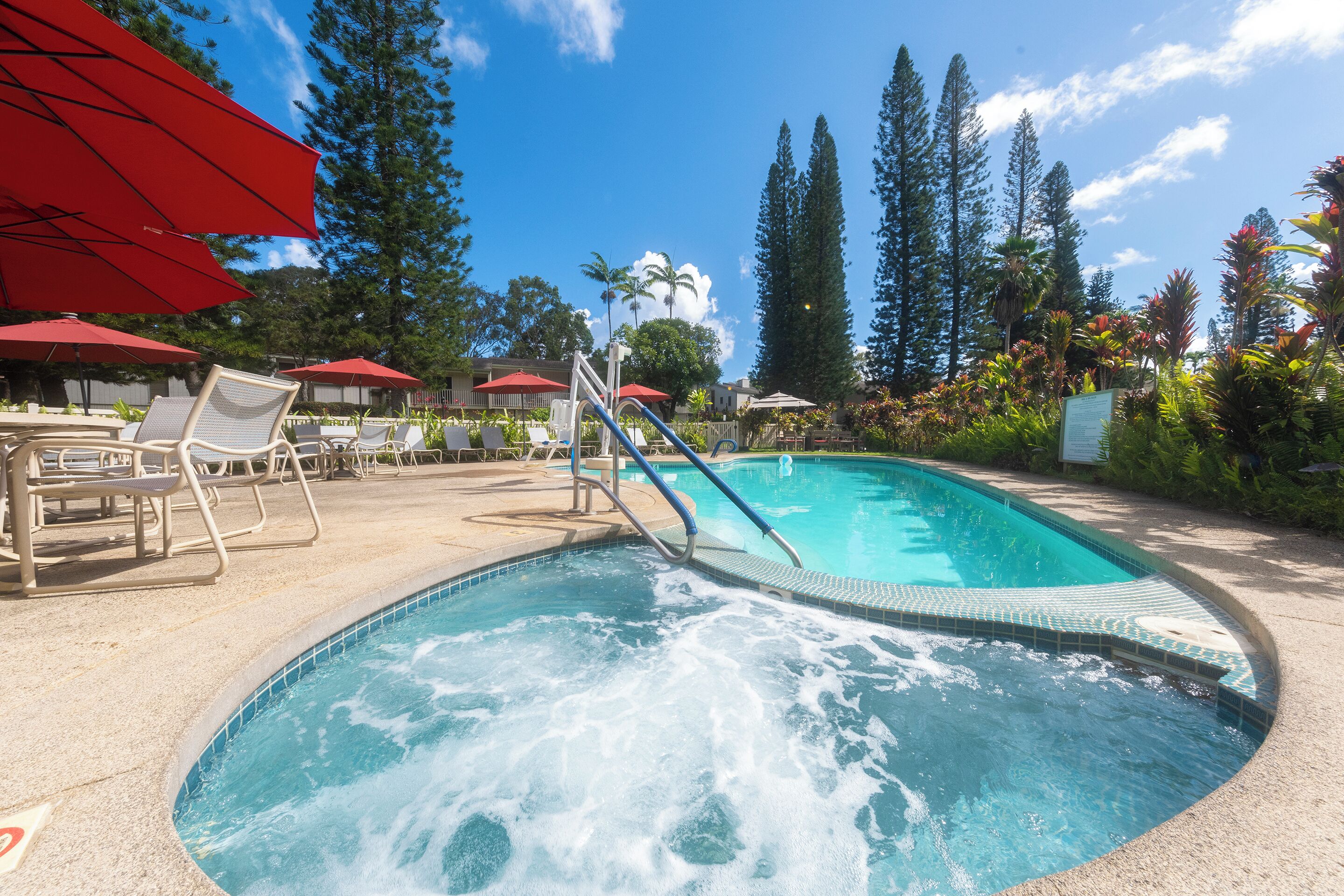 A hot tub with a pool, surrounded by lounge chairs and umbrellas, with tall trees and a clear sky in the background.
