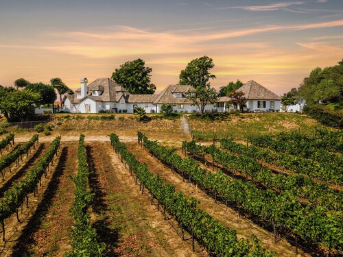 Chateau Blanc Vineyard Estate w/ 7 bedrooms, 5.5 bathrooms, pool, spa, fire pit