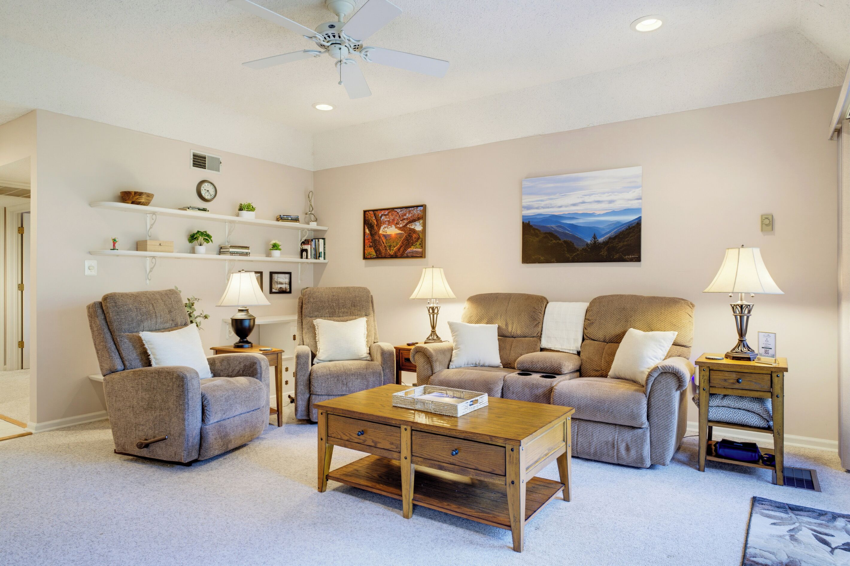 Smart TV, fireplace, books