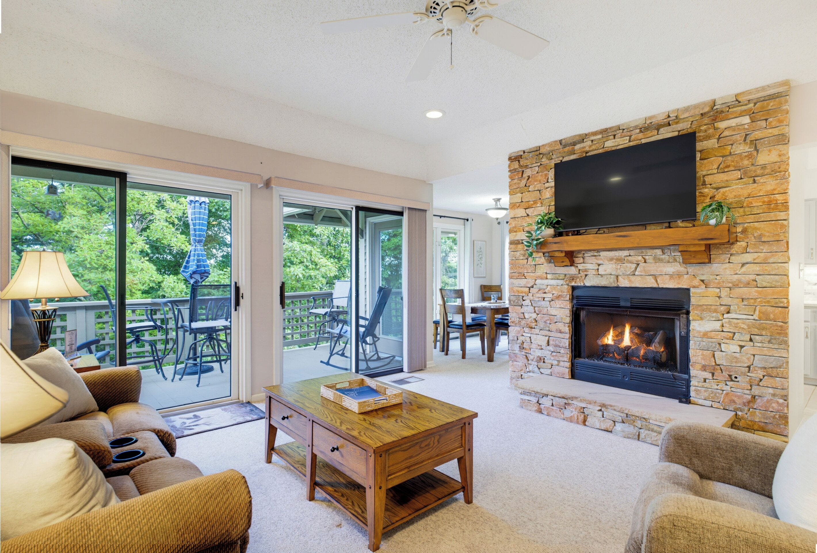 Smart TV, fireplace, books