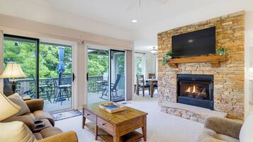 Smart TV, fireplace, books