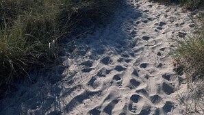 Ein sandiger Pfad führt zum Meer, gesäumt von Fußabdrücken und Gras.