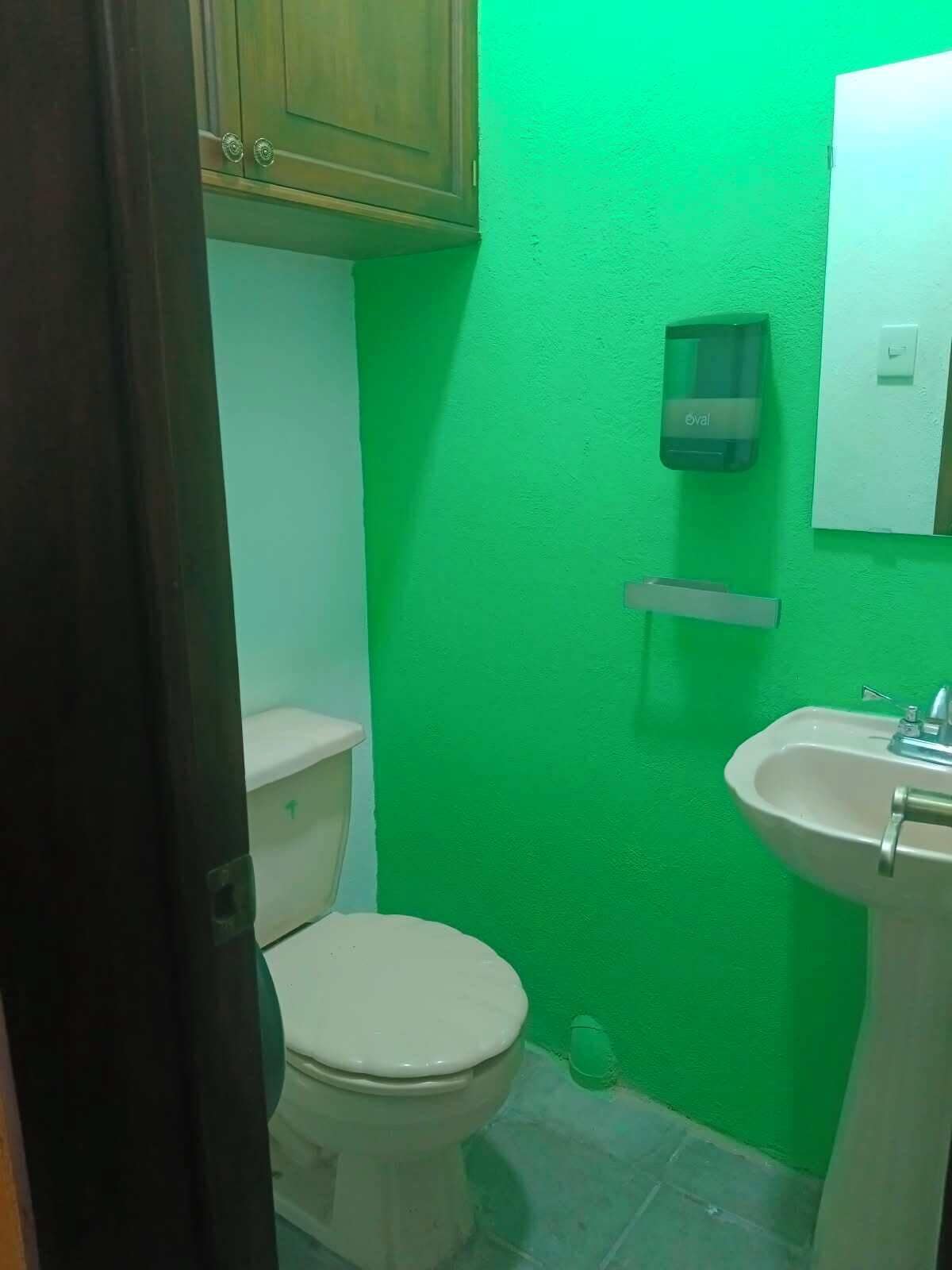 Un baño con inodoro, lavamanos y pared verde.