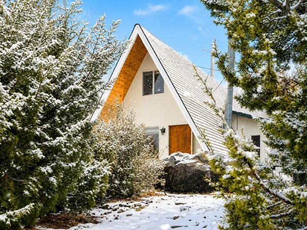A triangular-roofed building surrounded by snow-covered trees.