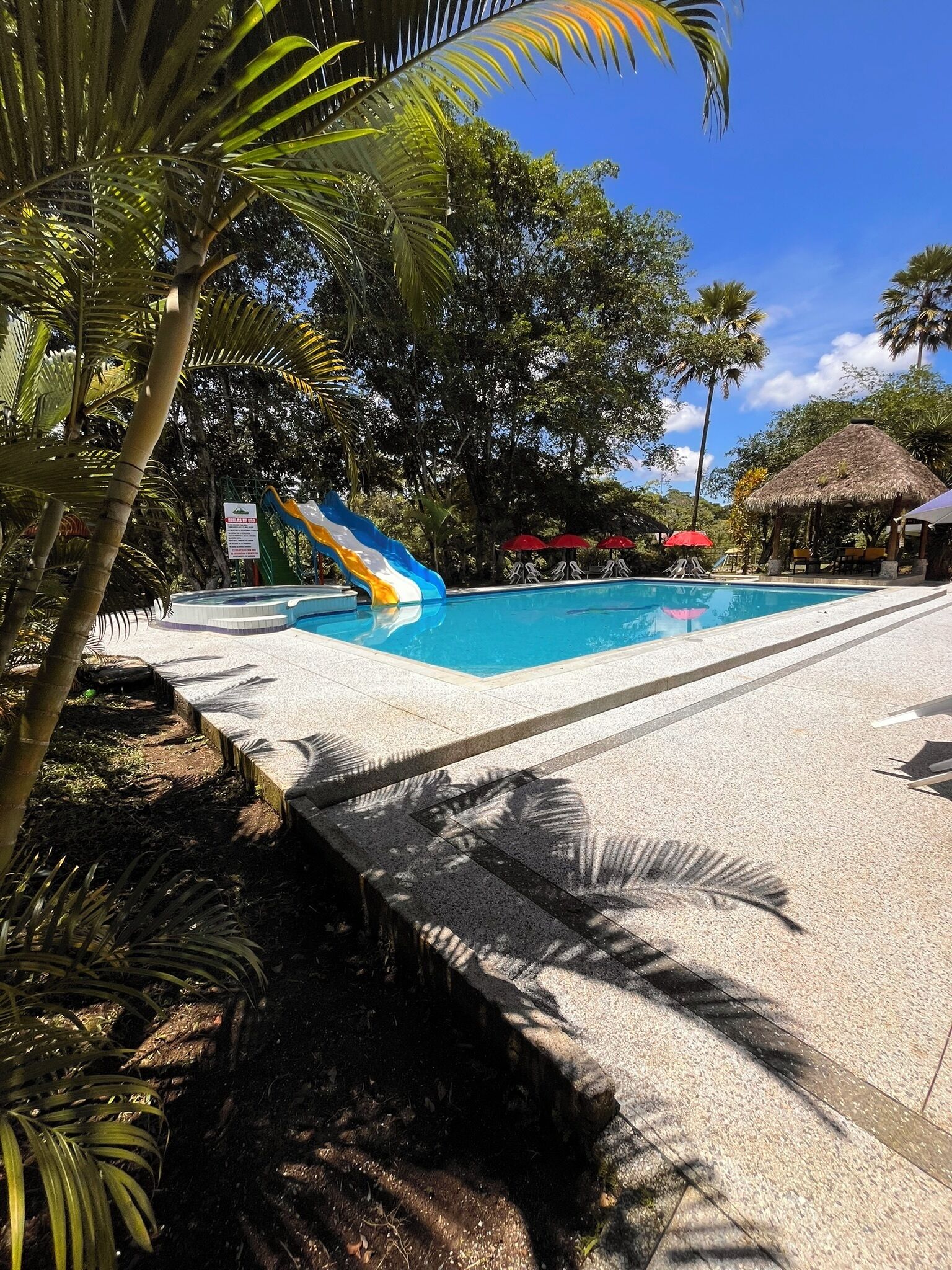 A swimming pool with a water slide, surrounded by palm trees and a clear sky.