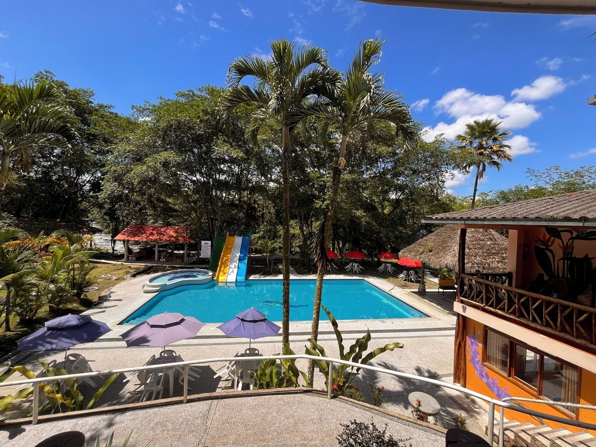 A pool area with a slide, surrounded by palm trees and umbrellas.