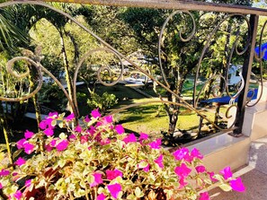 A garden with a metal fence, greenery, and a pool area.