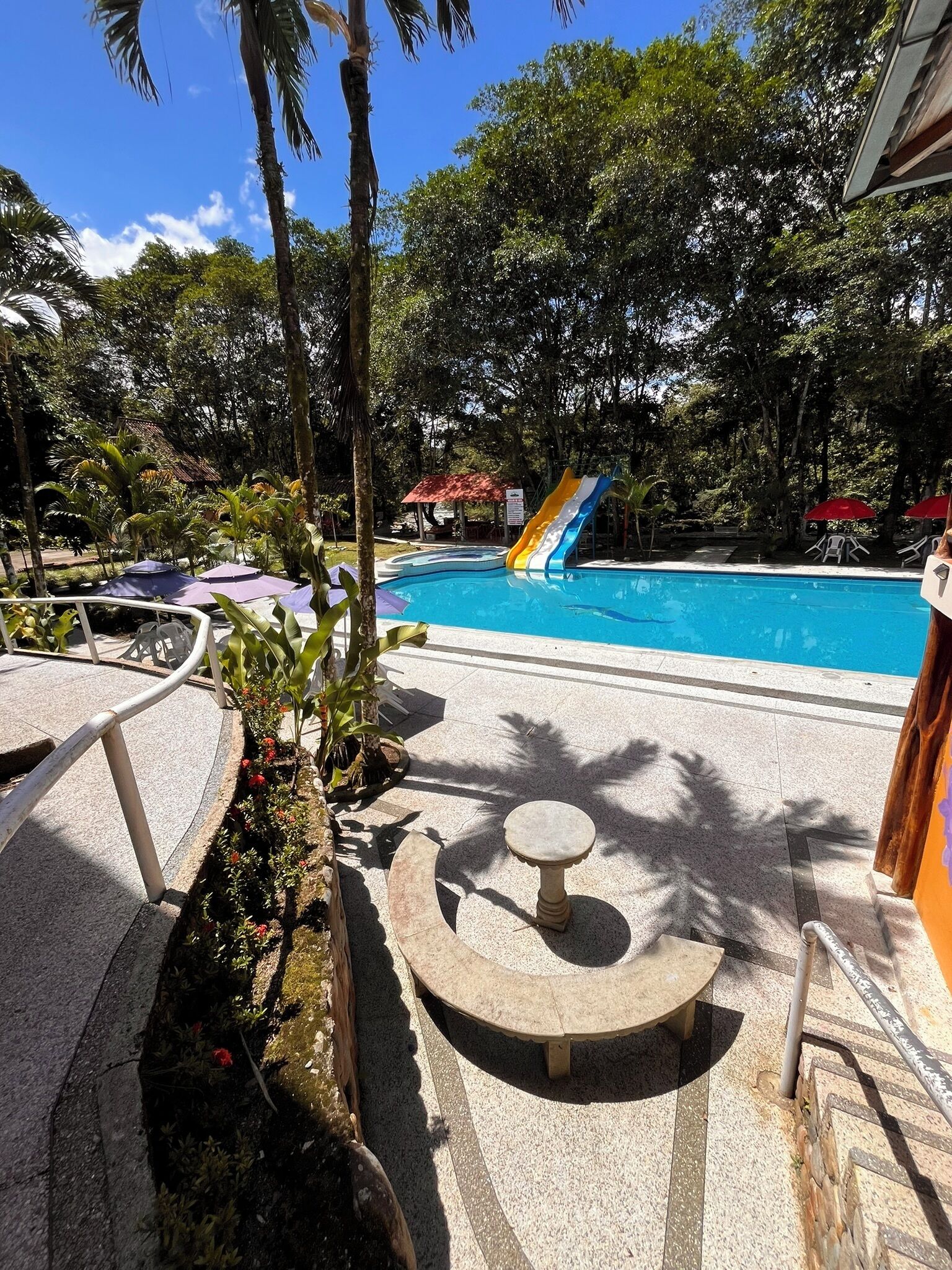 A swimming pool with a slide, surrounded by palm trees and a garden area with a stone bench.