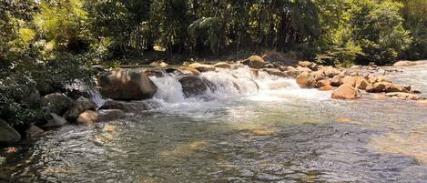 A natural water feature with a small waterfall surrounded by rocks and dense greenery.