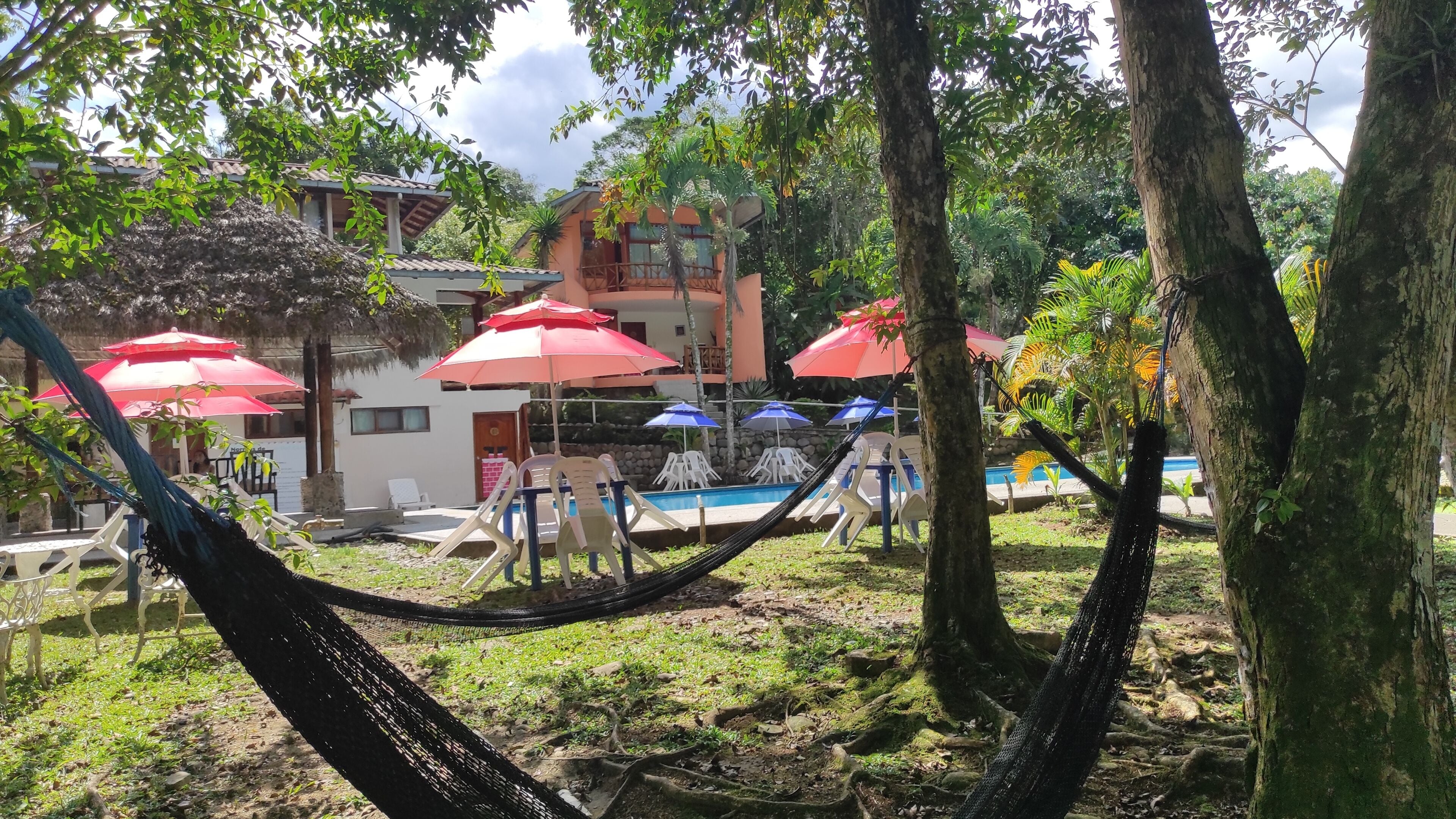 Zona de piscina amb gandules i ombrel·les, envoltada d'arbres i un edifici amb balcons.