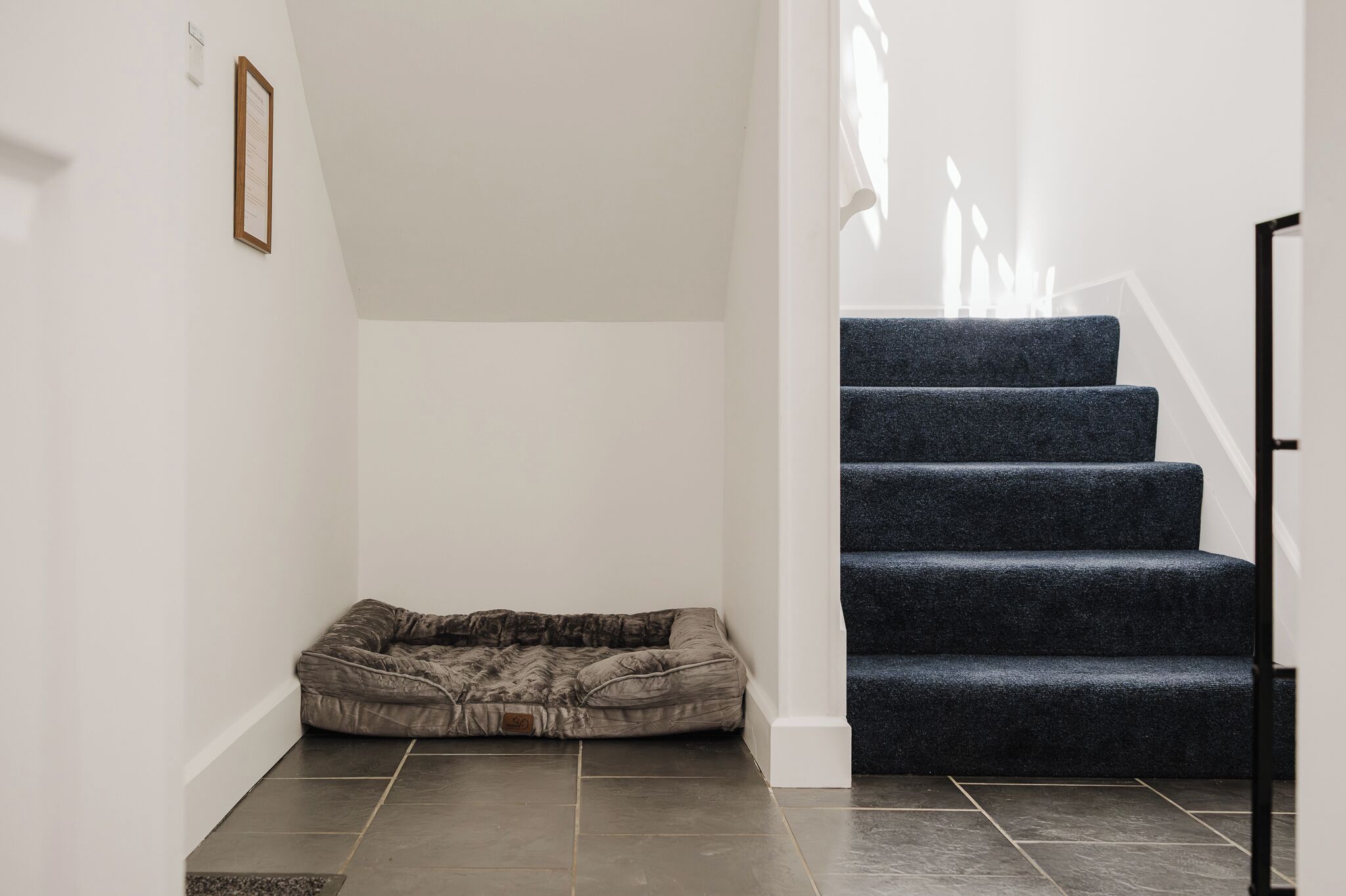 Un escalier avec une main courante recouverte d’une moquette sombre et un panier pour animaux de compagnie au bas de l’escalier.