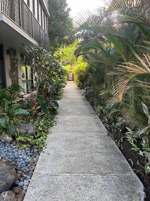 A concrete pathway flanked by lush tropical plants and a building with a balcony. - Oceanfront 1BR, Waikīkī's Gold Coast, Diamond Head (Honolulu)