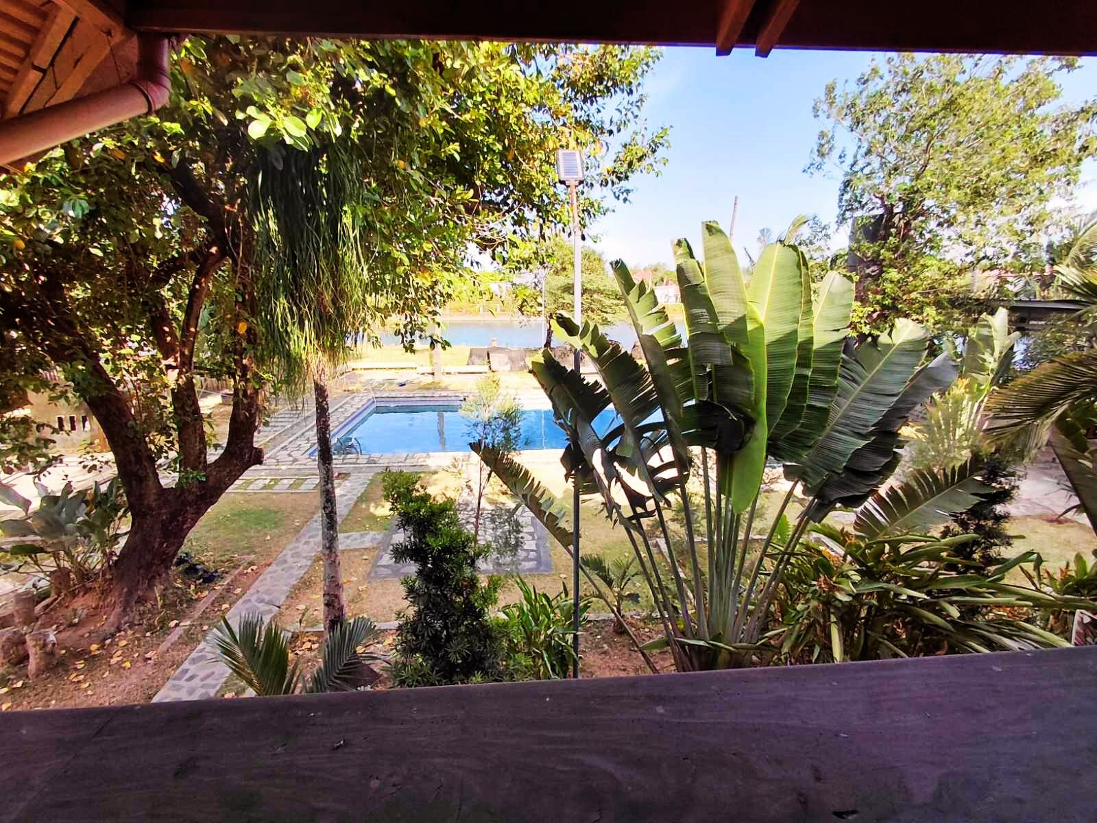 Zona de piscina con vegetación circundante y cielo despejado.
