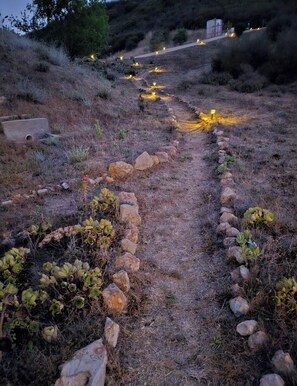 A pathway with stone edging, surrounded by dry vegetation and a few small plants.