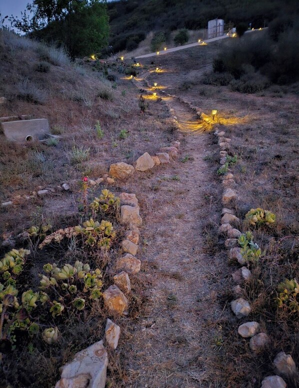 A pathway with stone edging, surrounded by dry vegetation and a few small plants.