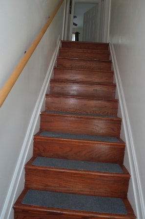 Eine Holztreppe mit Geländer und Teppichstufen.