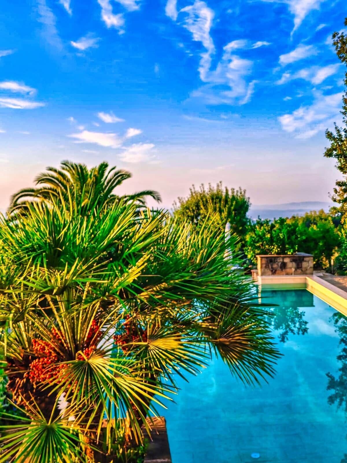 A swimming pool with a clear blue sky and lush greenery in the foreground.