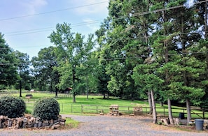 A rural landscape with a gravel path, wooden fences, and a small cabin.