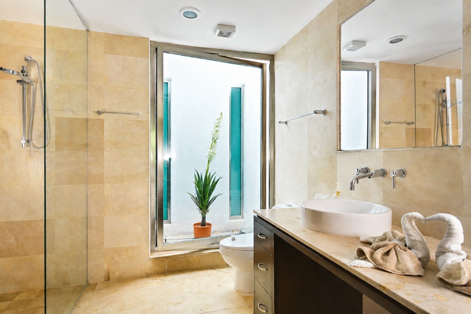 Une salle de bain moderne avec une douche à parois de verre, un lavabo blanc et une plante en pot.