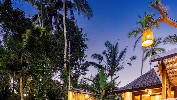 A fire pit with a pool and outdoor seating area, surrounded by lush greenery and palm trees.