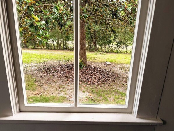 A window with a view of a tree and a pile of leaves outside.