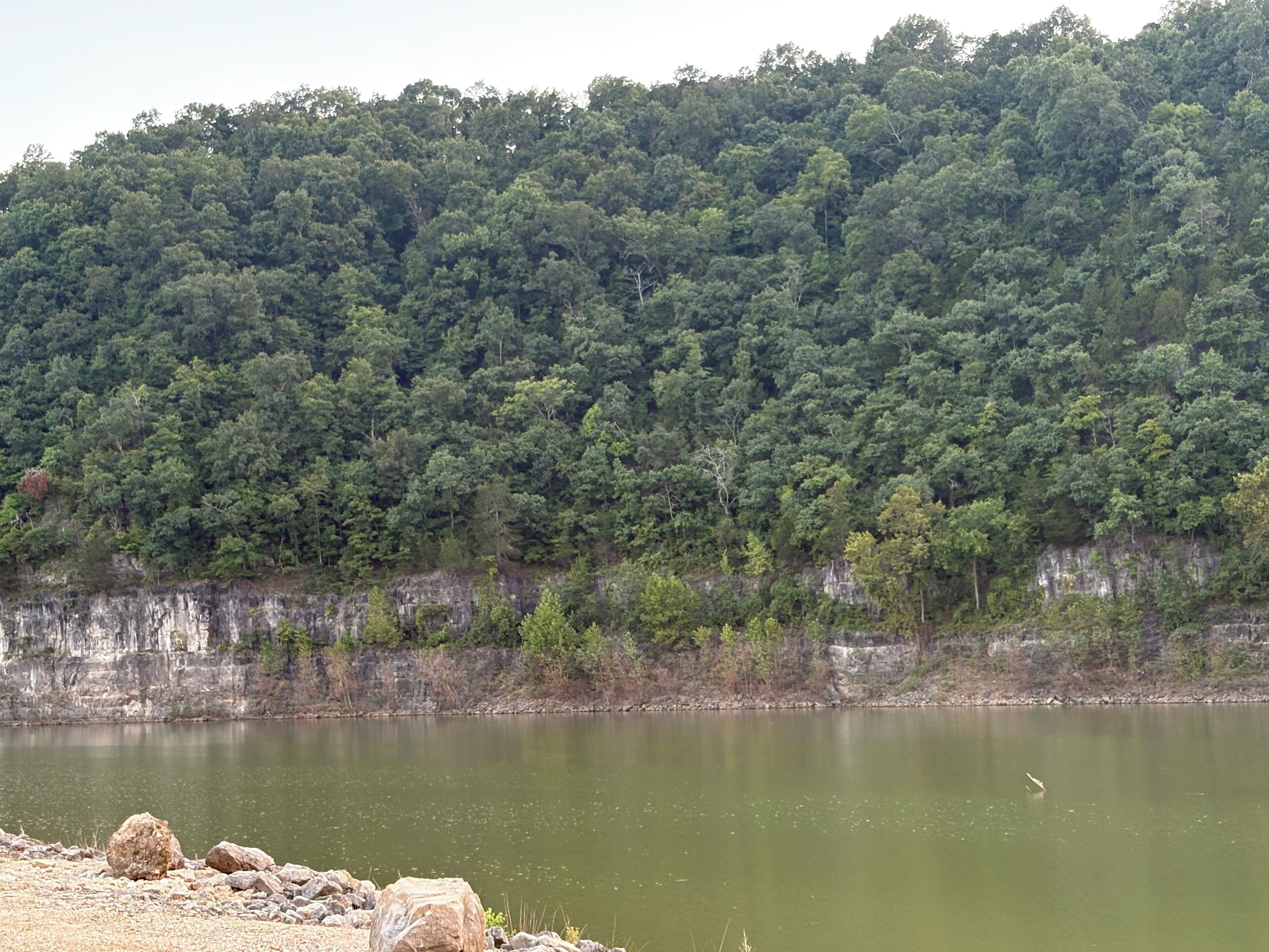 A natural landscape with a body of water, a rocky shoreline, and a densely forested hill.