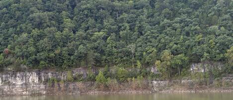 A natural landscape with a body of water, a rocky shoreline, and a densely forested hill.