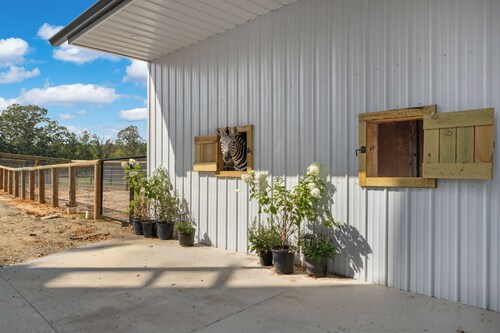 Hand-Feed Giraffes & Luxurious Shared Pool